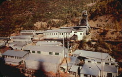 The Famous Sunshine Mines Postcard