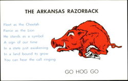 The Arkansas Razorback Postcard