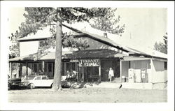 TENNANT STORE AND CAFE California Postcard Postcard