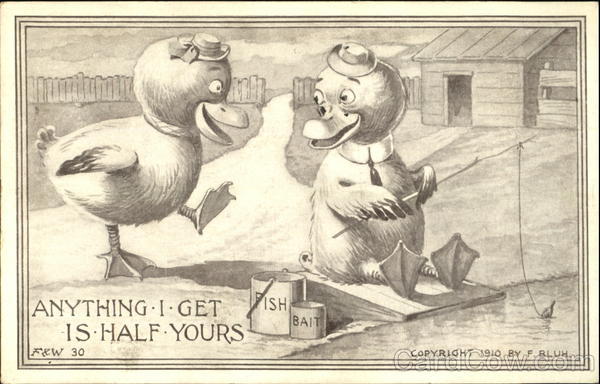 Female duck next to male duck with fishing rod Comic