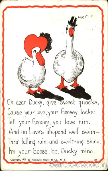 A duck couple Animals