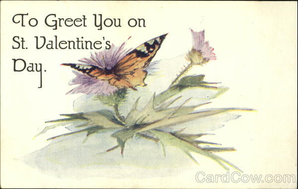 Butterfly on a flower