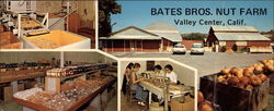 Bates Bros. Nut Farm Large Format Postcard