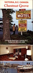 Chestnut Grove Motel Large Format Postcard