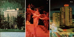 Harrah's Hotels and Casinos Large Format Postcard