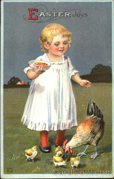 Girl feeding chicken and chicks With Chicks