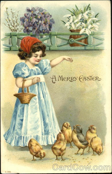 A girl feeding chicks With Chicks