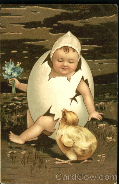 A chick watching a baby hatching from an egg With Chicks