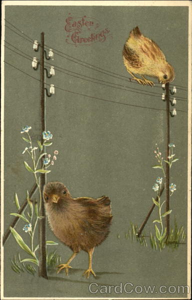 2 chicks, one on telephone wire, 1 on ground With Chicks