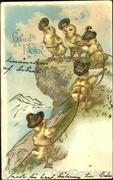 Mountain-Climbing Chicks With Chicks