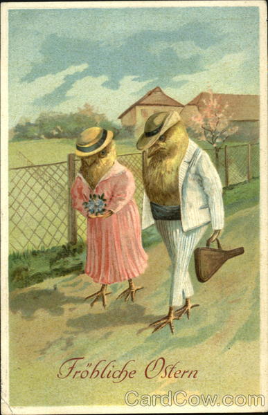 Chicken Couple going for a stroll With Chicks