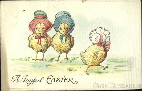 Three chicks wearing bonnets With Chicks