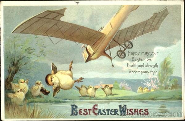 Chicks and Airplane With Chicks