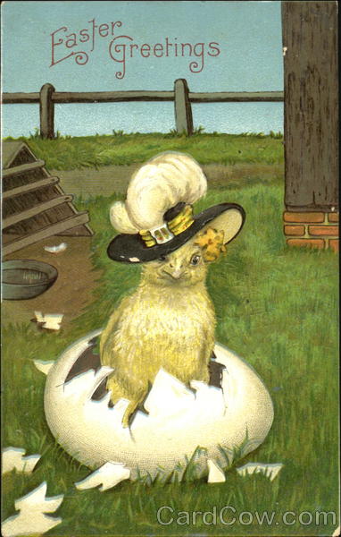 Chick with feathered hat hatching from egg With Chicks