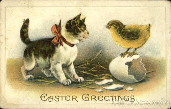 Kitten and Chick With Other Animals