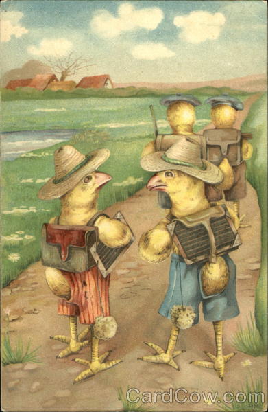 Chicks Going to School With Chicks