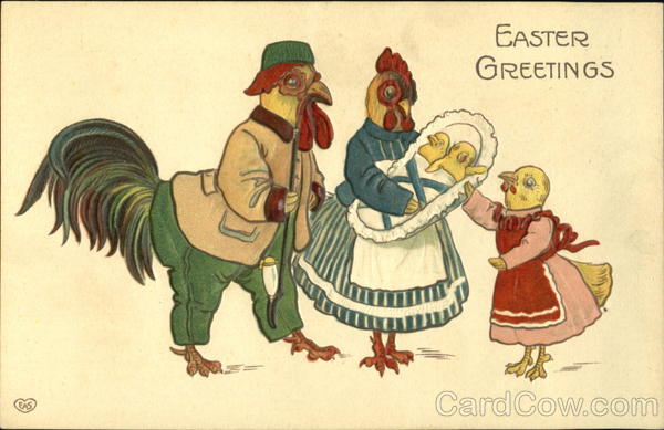 Chicken Family With Chicks