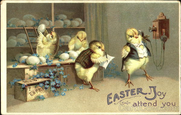 Four chicks taking egg orders, one on phone With Chicks