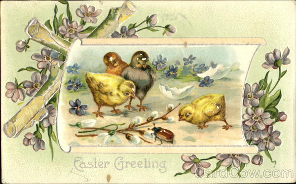 Chicks looking at a bug With Chicks