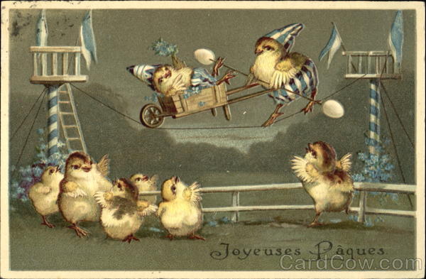 Chicks performing and watching a tightrope act With Chicks