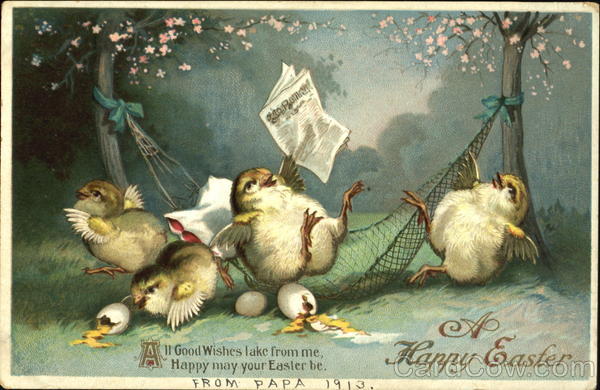 Chicks paying with eggs in a hammock With Chicks