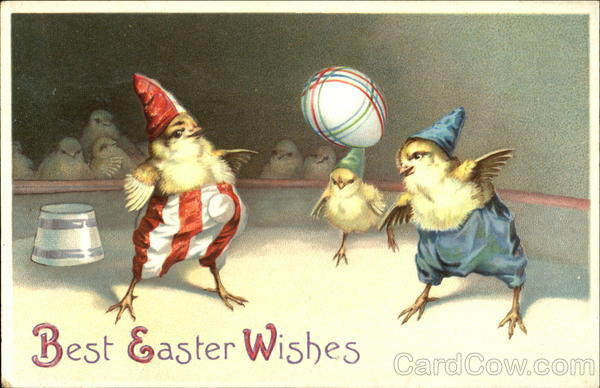 Three chicks playing with Easter egg in circus arena