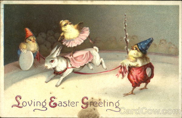 Animals in a circus With Other Animals