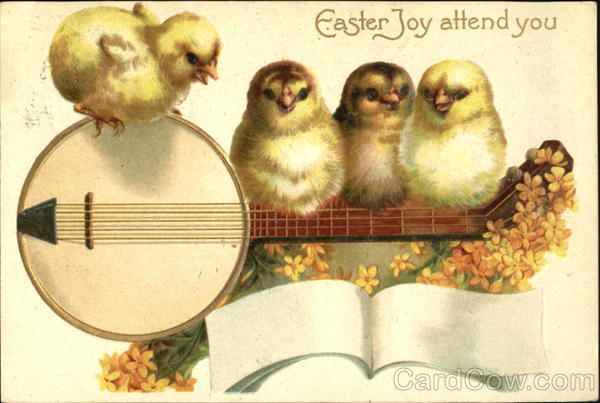 Four chicks playing music (banjo) With Chicks