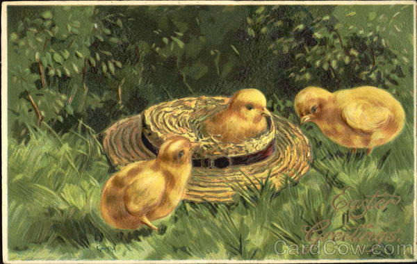 Three chicks & hat With Chicks