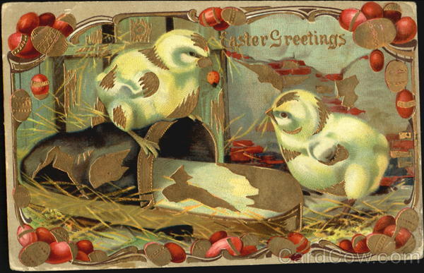 Two chicks with old slipper With Chicks