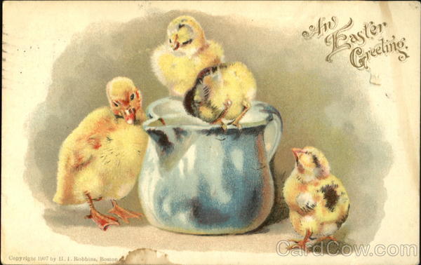 Four chicks playing with on a pitcher With Chicks