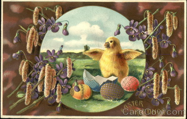 Chick hacking from blue Easter egg With Chicks