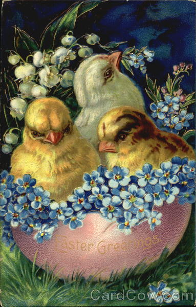 Three chicks in an eggshell with flowers With Chicks