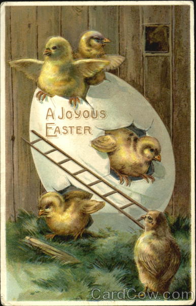 Chicks Escaping Egg With Chicks