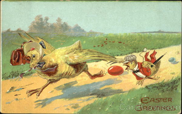 Chickens in Fancy Clothes With Chicks