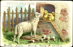 Chicks and lamb on a farm Postcard