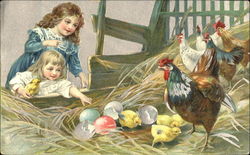 Two Little Girls Watching Hatching Chicks Postcard