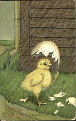 Stock #193973 Thumbnail