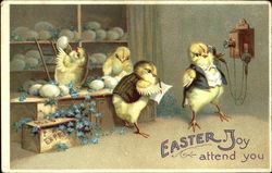 Four chicks taking egg orders, one on phone Postcard