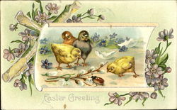 Chicks looking at a bug Postcard