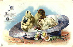 Three chicks sitting in hat Postcard