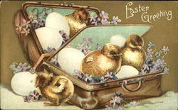 Four chicks, three in a suitcase with eggs Postcard