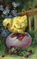 A chick standing atop of a broken egg Postcard