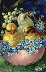 Three chicks in an eggshell with flowers Postcard