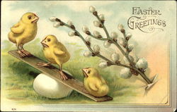 3 chicks on seesaw with egg fulcrum, pussy willows Postcard