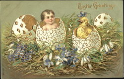 Baby hatching from egg next to hatching chick Postcard