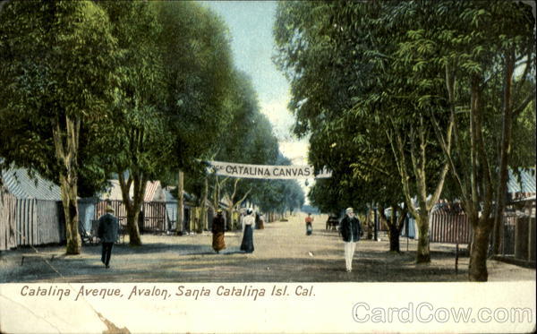 Catalina Avenue Avalon California