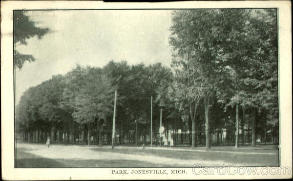 Park Jonesville Michigan