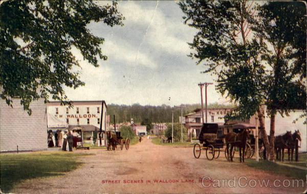 Street Scene Walloon Lake Michigan
