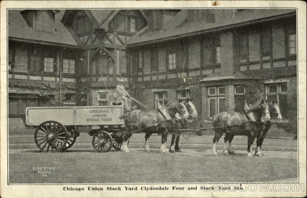 Chicago Union Stock Yard Clydesdale Four and Stock Yard Inn Illinois